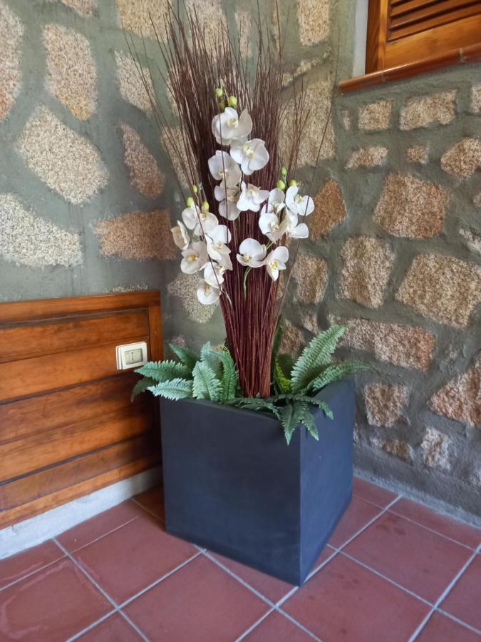 Hotel Olimpia Baja Sardinia Exteriör bild