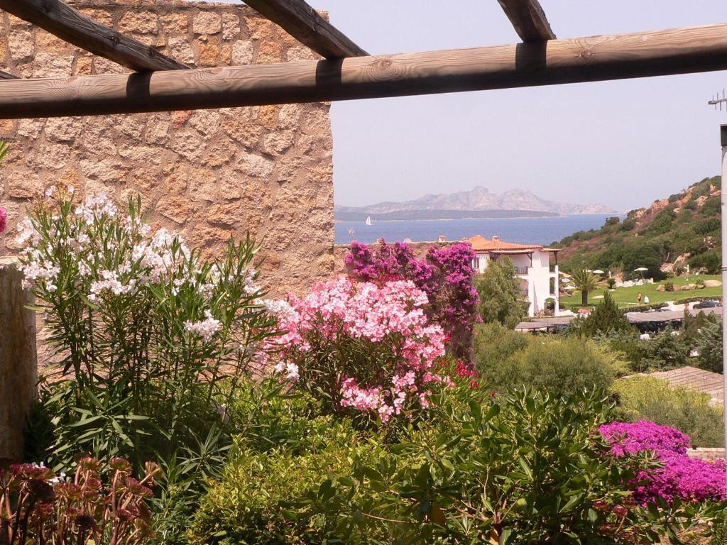 Hotel Olimpia Baja Sardinia Rum bild